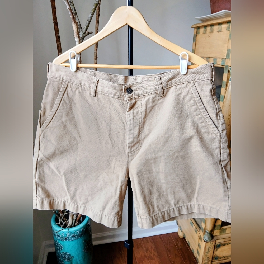 Patagonia Heritage Stand Up Shorts